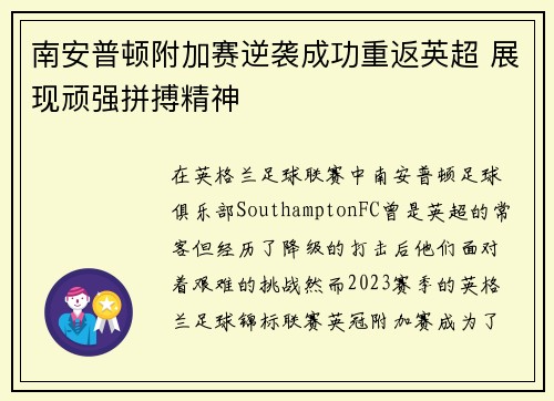 南安普顿附加赛逆袭成功重返英超 展现顽强拼搏精神